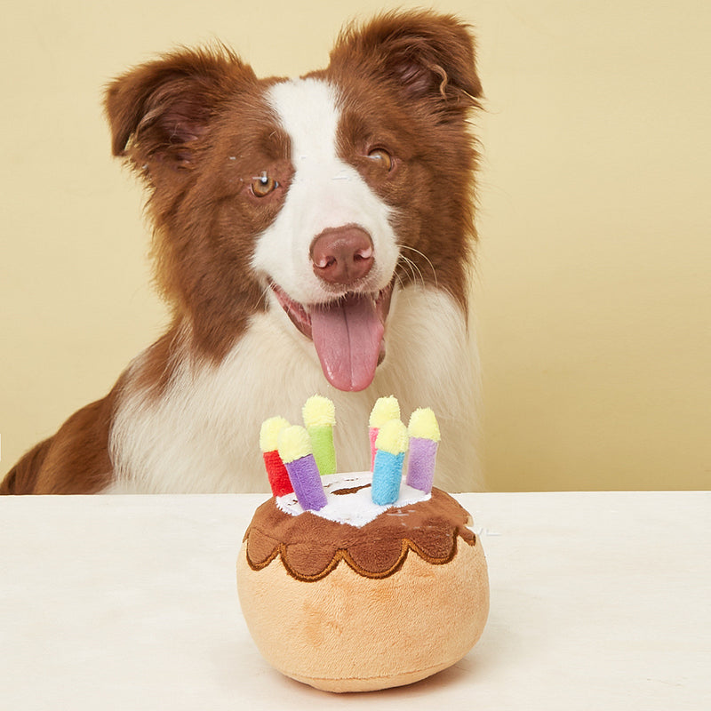 Pet Birthday Plush Cake Toy 🎂